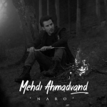 Mehdi-Ahmadvand-Naro.png