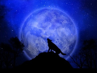 3d-halloween-background-with-wolf-howling-against-the-moon_1048-8897.jpg