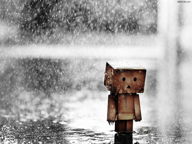 sad_danbo_rain.jpg