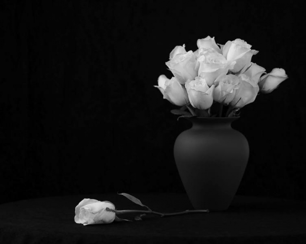 گلدان-رز-سفید.jpg
