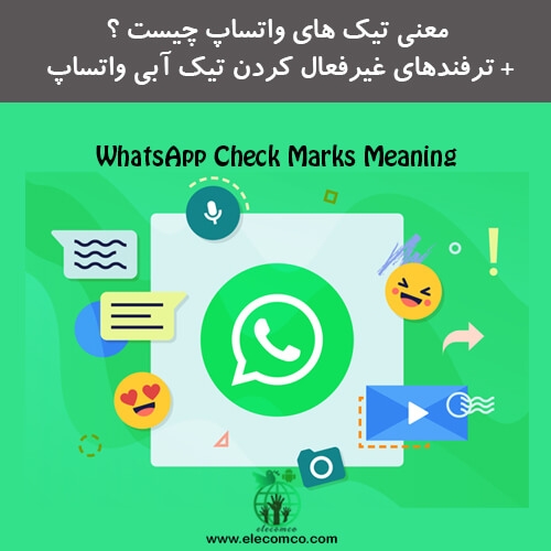 Elecomco-Com-Whatsapp-Check-Marks-Meaning.jpg